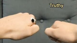 Truthy - Fun Stuff