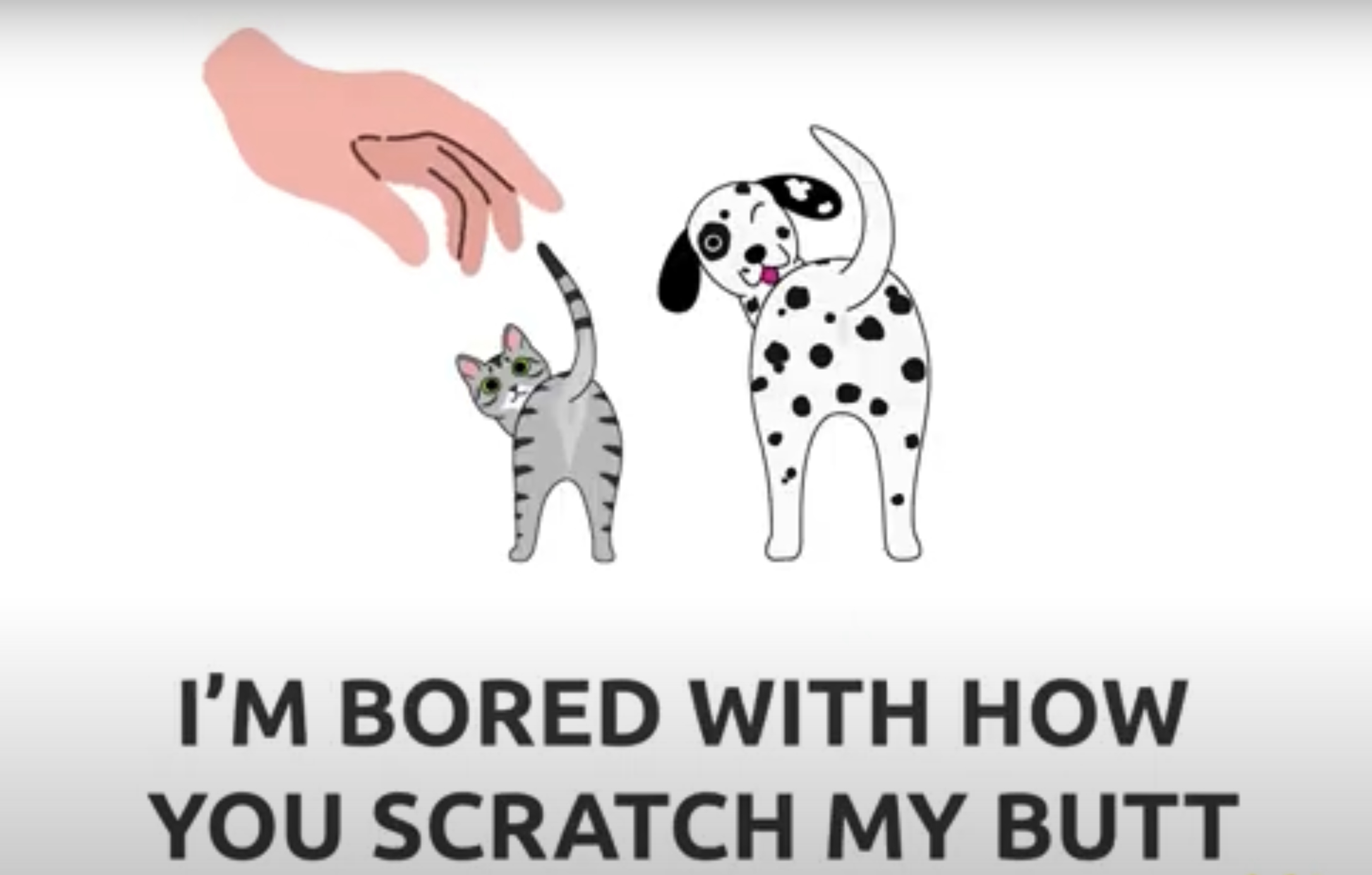 "My Pet is an Asshole!"