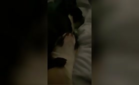 Pet Report 